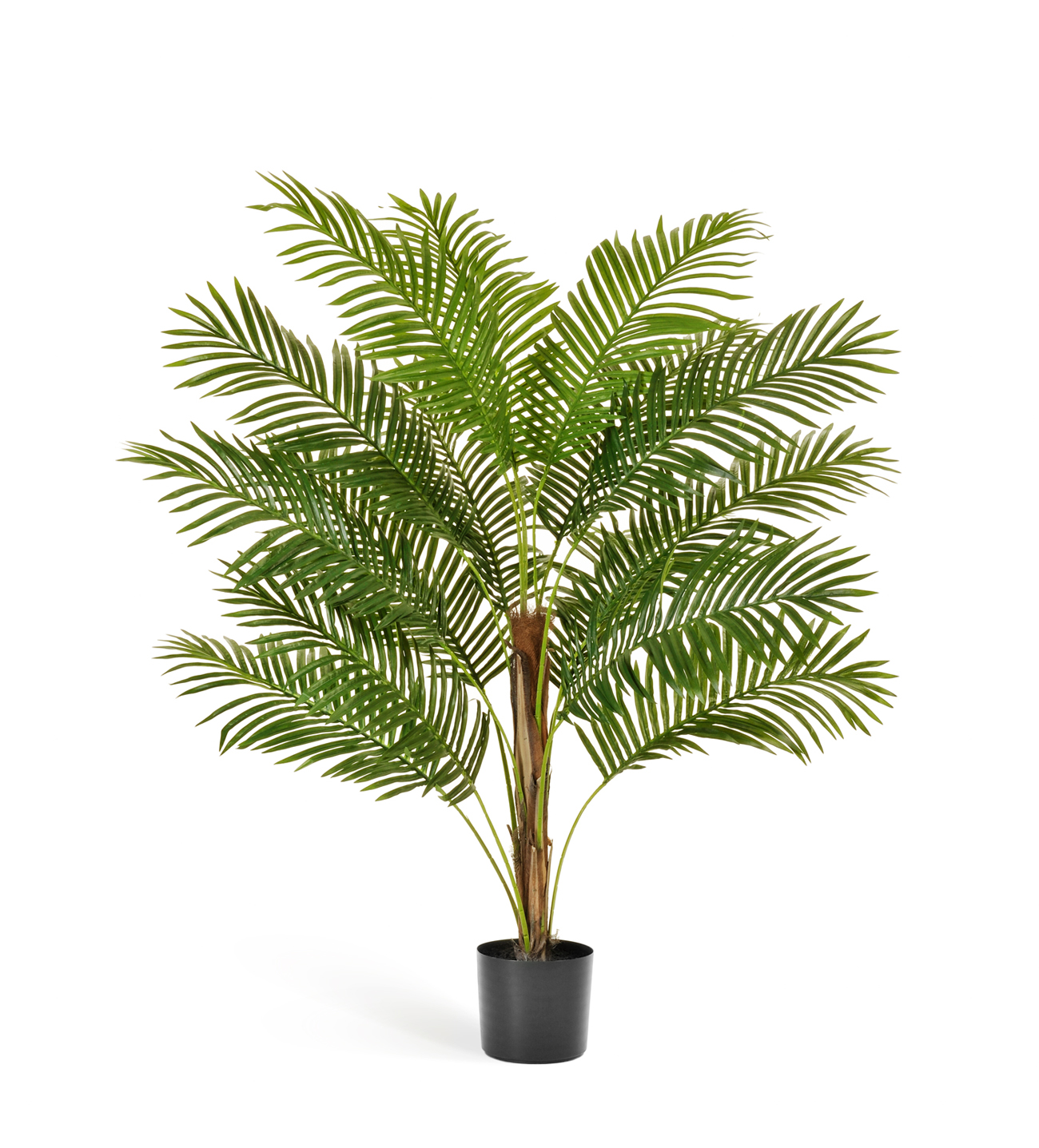 Пальма Арека Парадиз 150см