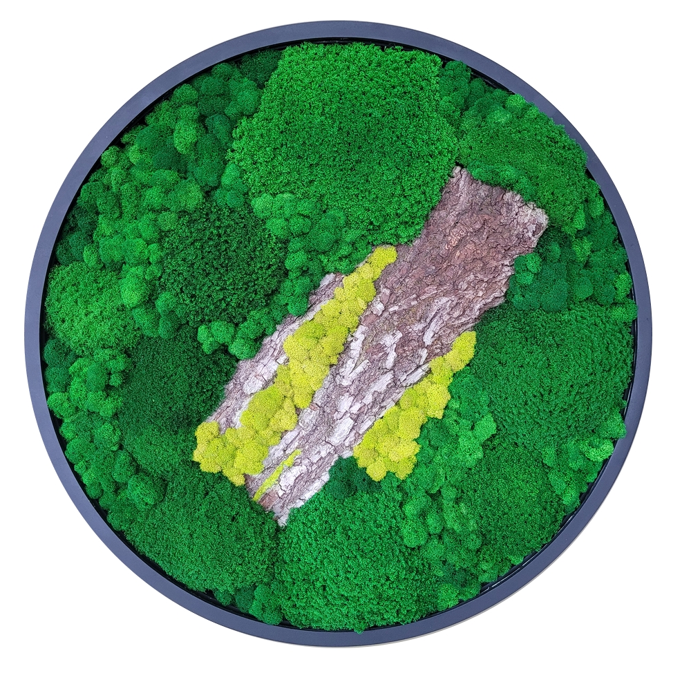 Фитопанно D 80 см