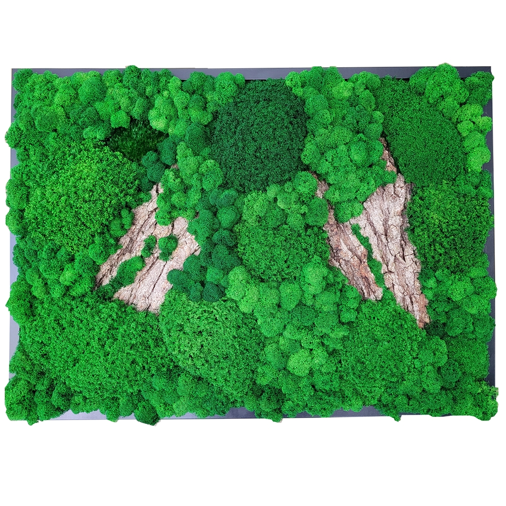 Фитопанно 50*70 см