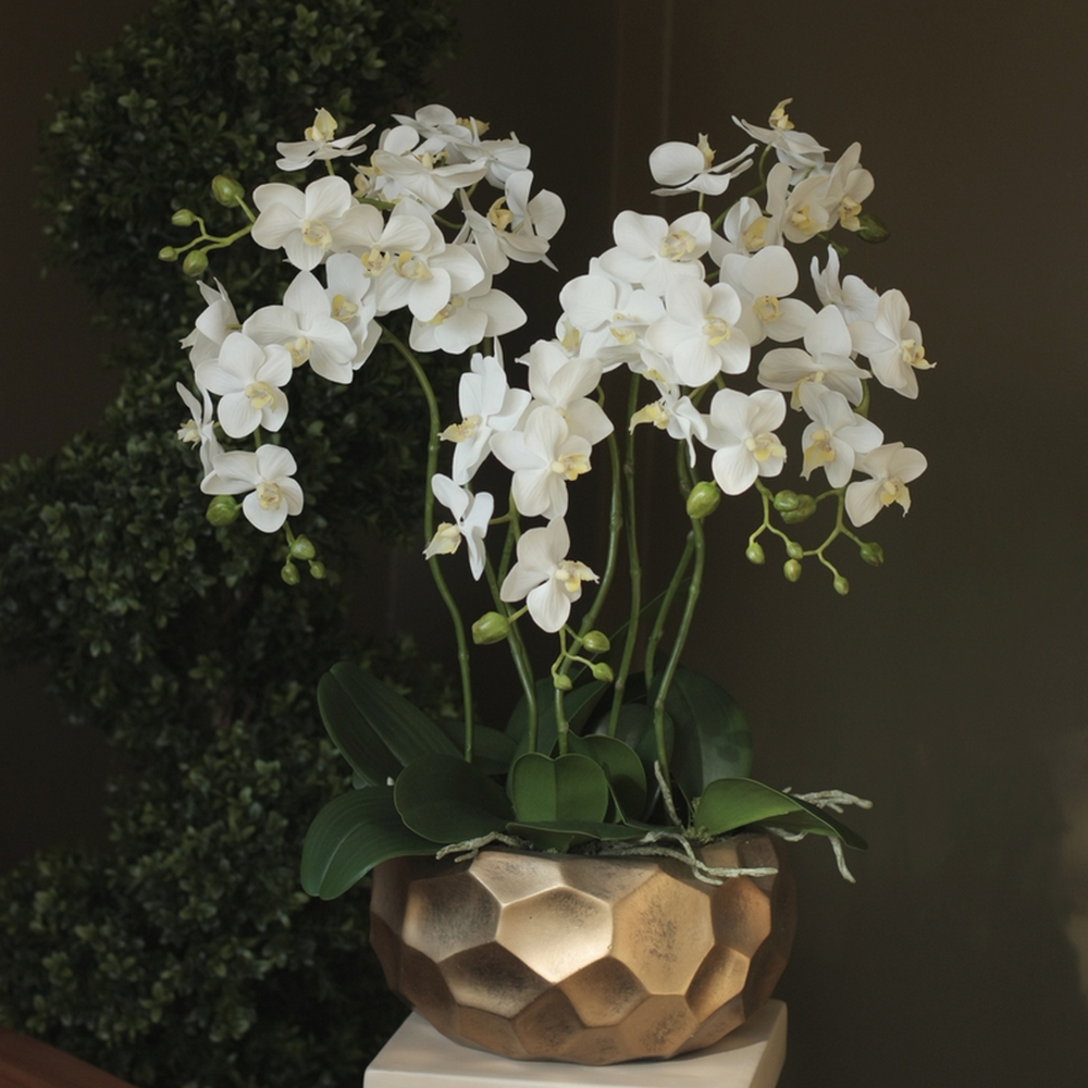 Композиция "Орхидея фаленопсис белая 7 веток в золотой низкой чаше"