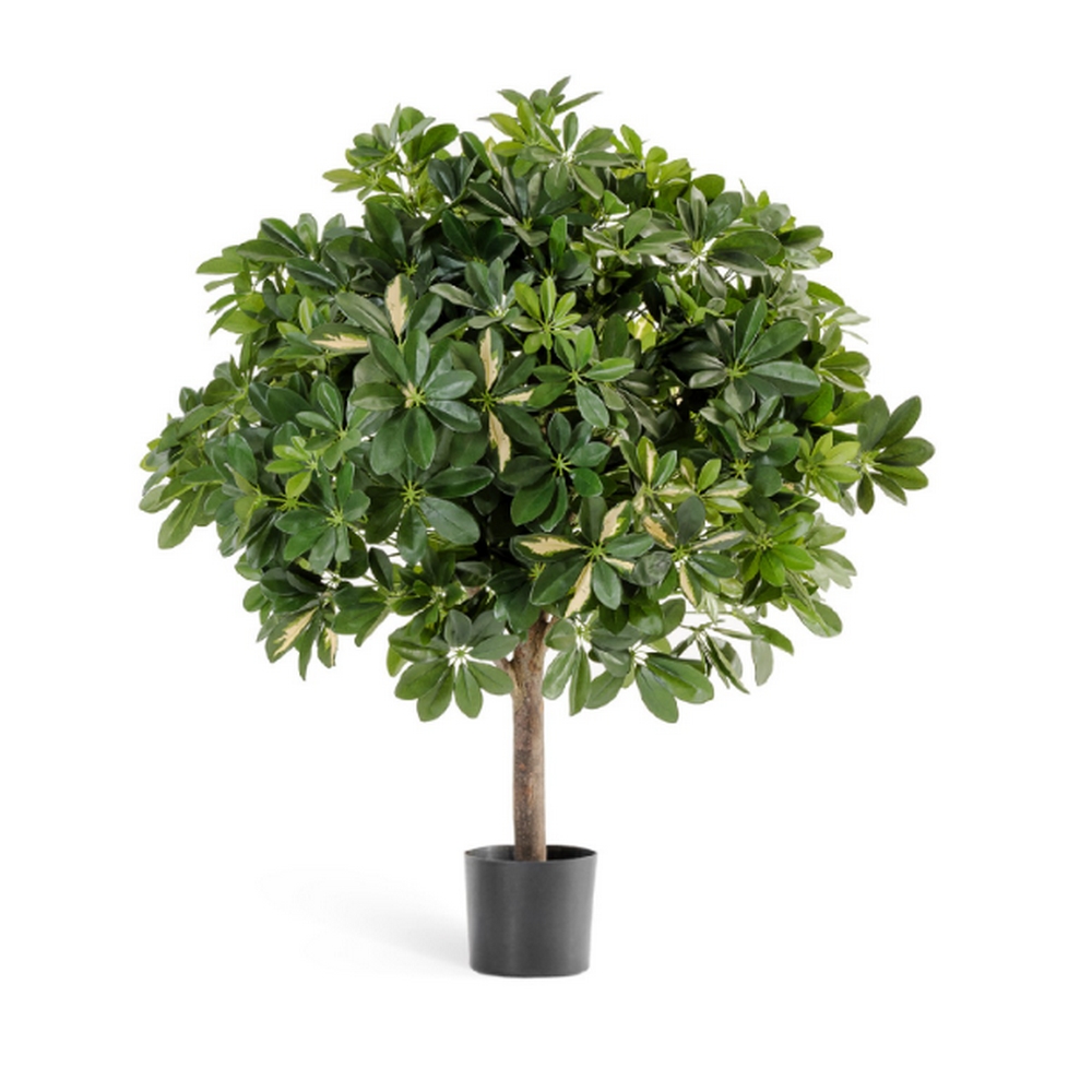 Шеффлера шар 110см