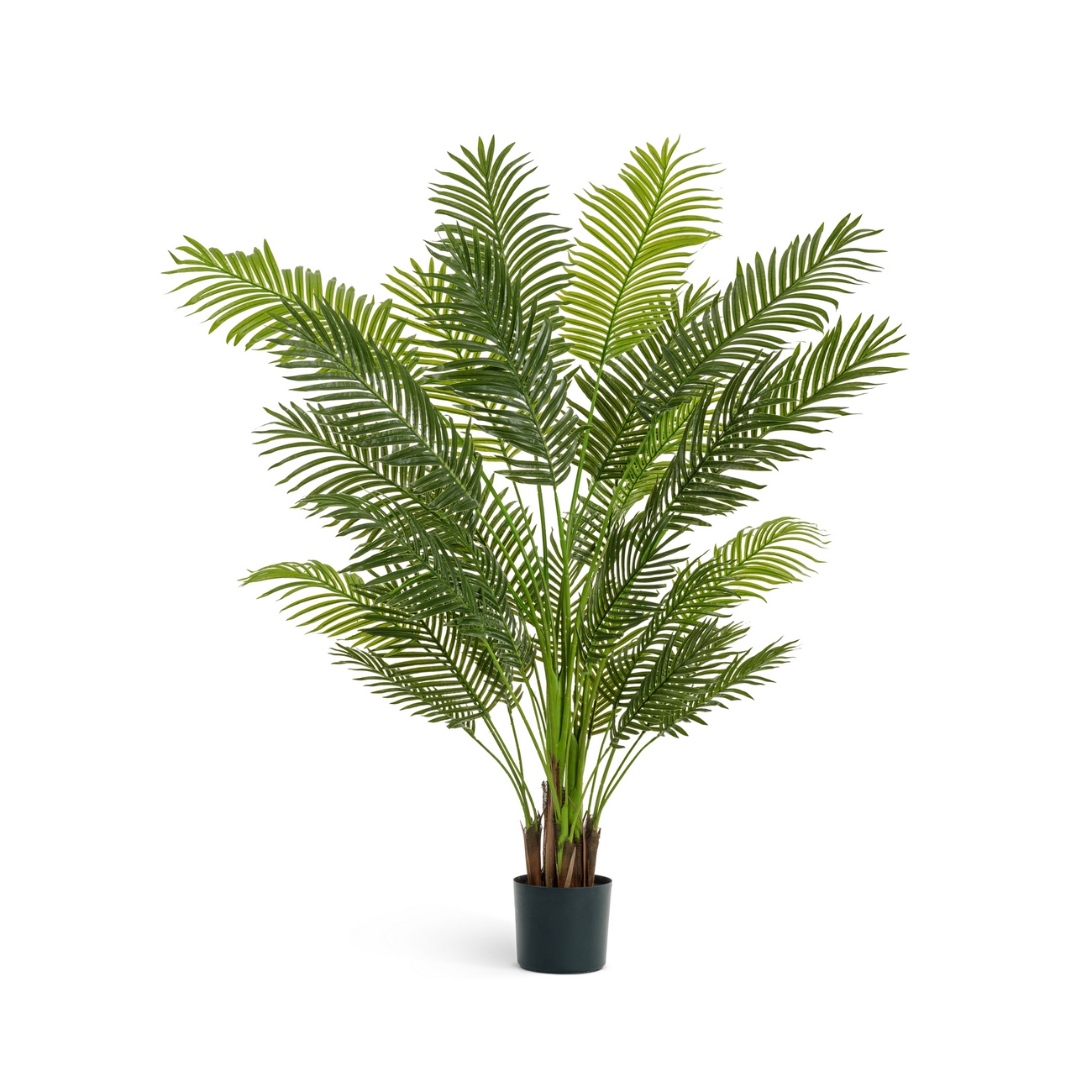 Пальма Арека New Paradise 180см