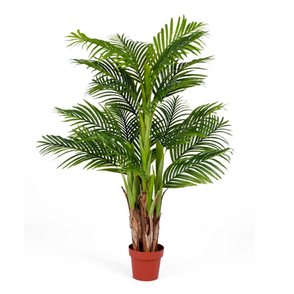 Пальма Арека Катеху 140см