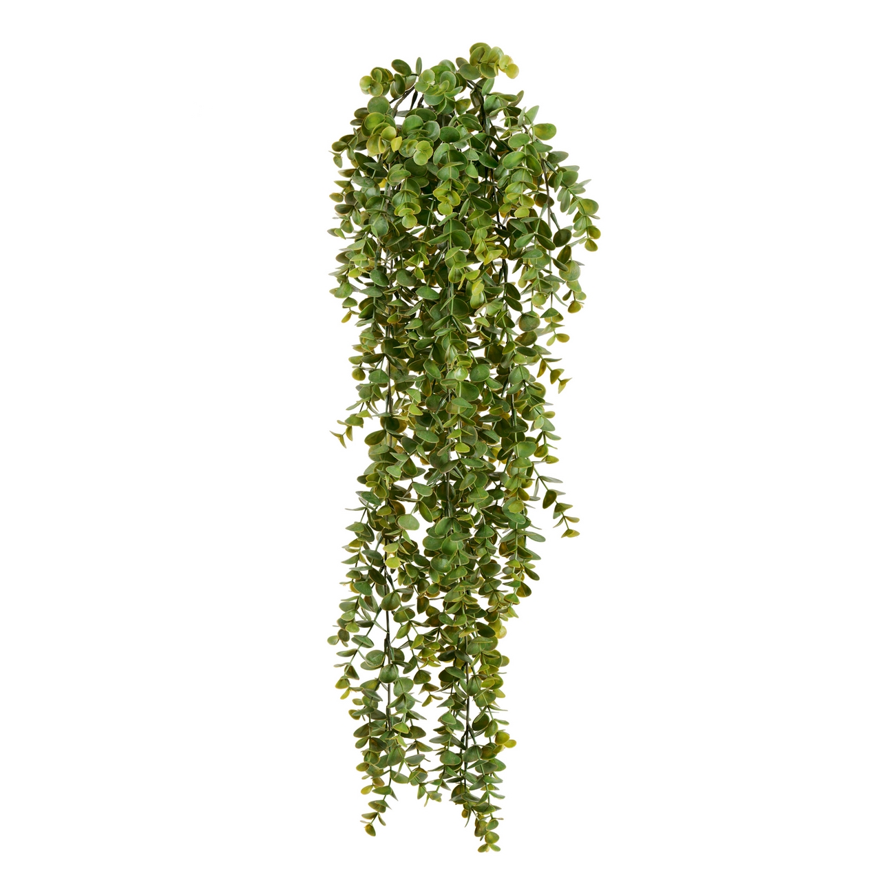 Эвкалипт зеленый 65см