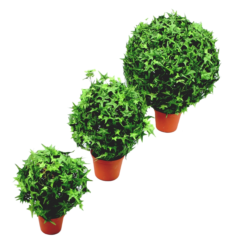 Плющ шар  30см