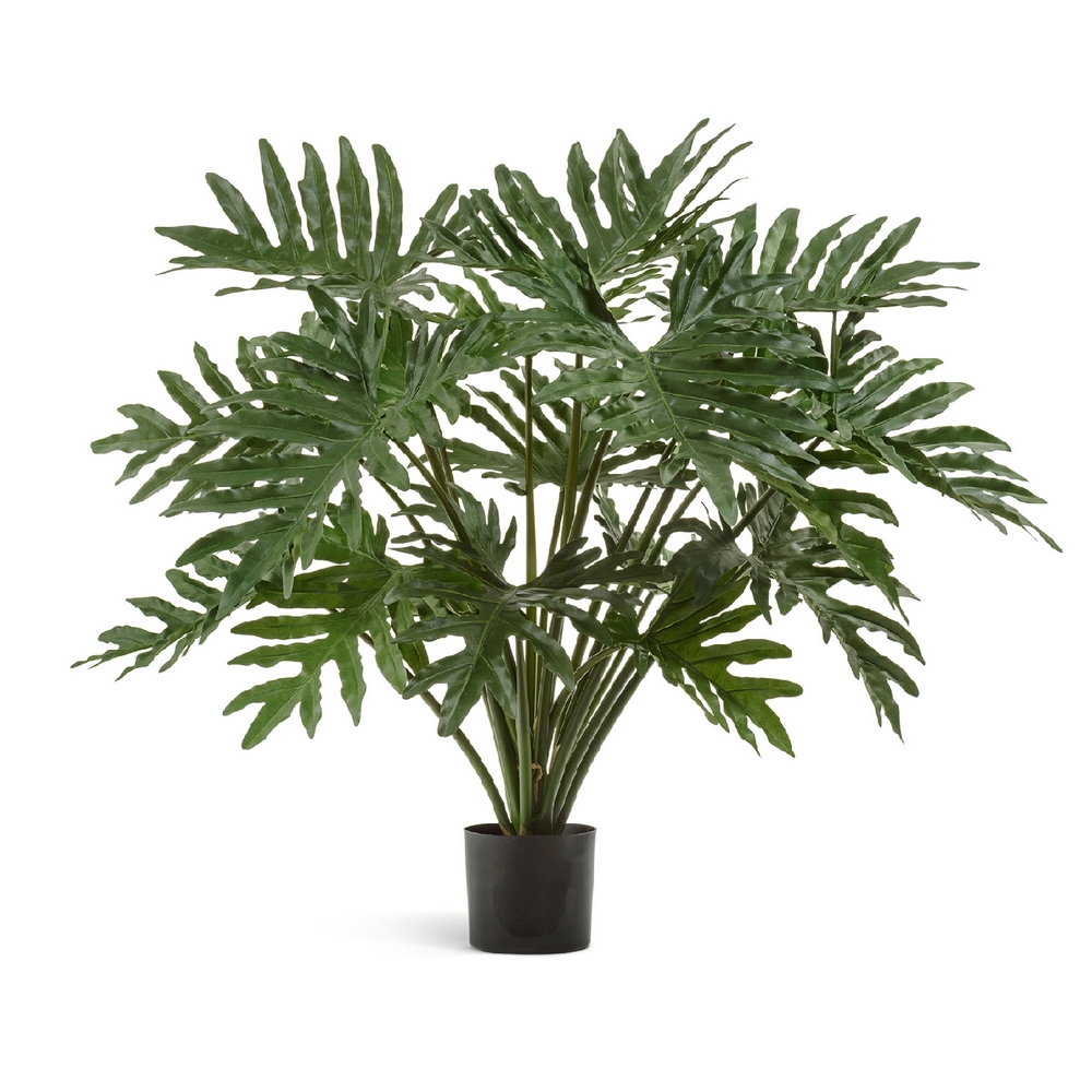 Филодендрон Селло Мидл куст 95см