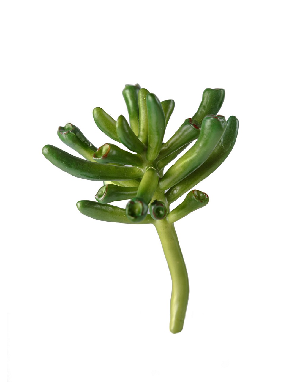 Мини-суккулент Крассула Хоббит в-7,5, д-9 см 24/288 7см