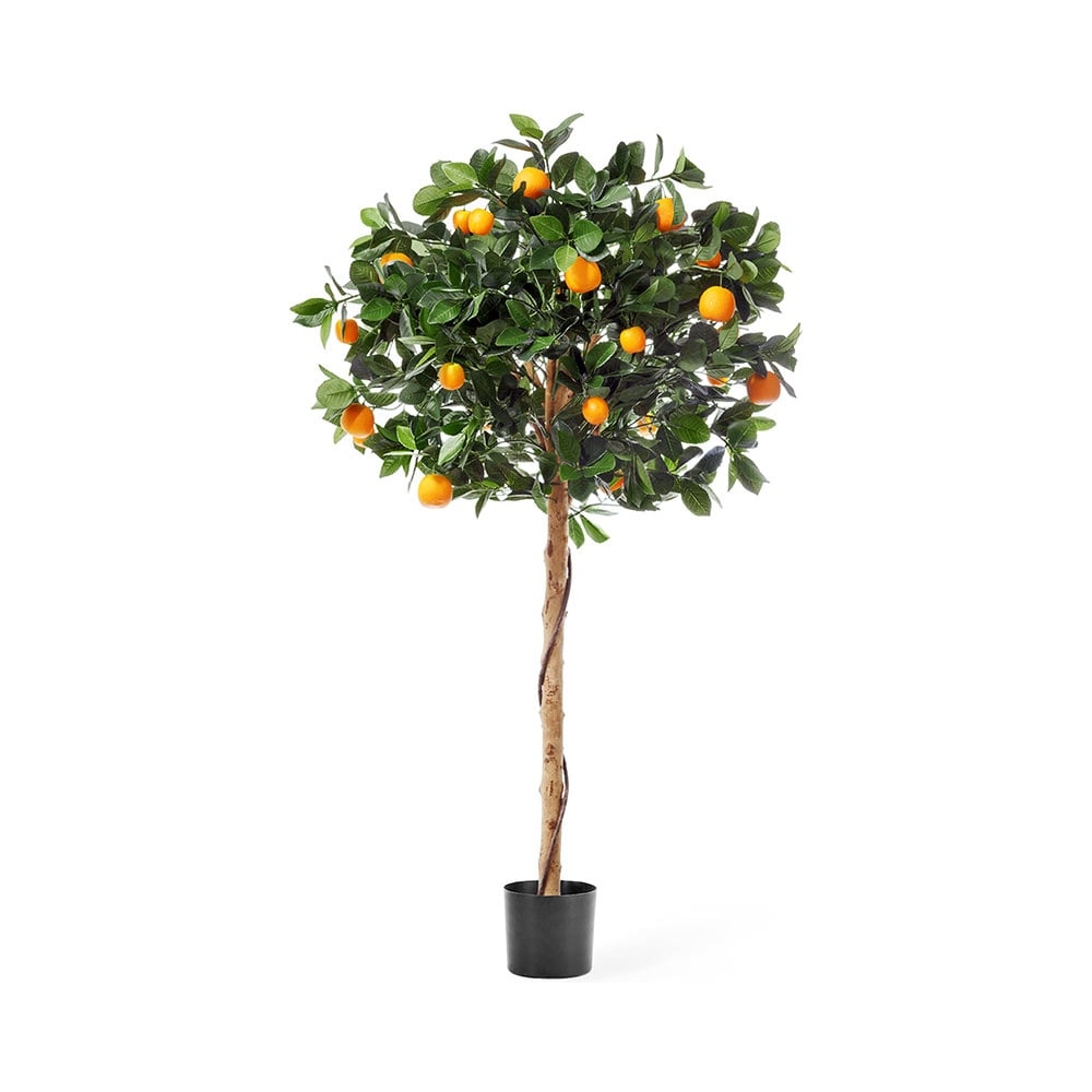 Мандарин Голден Оранж  120см