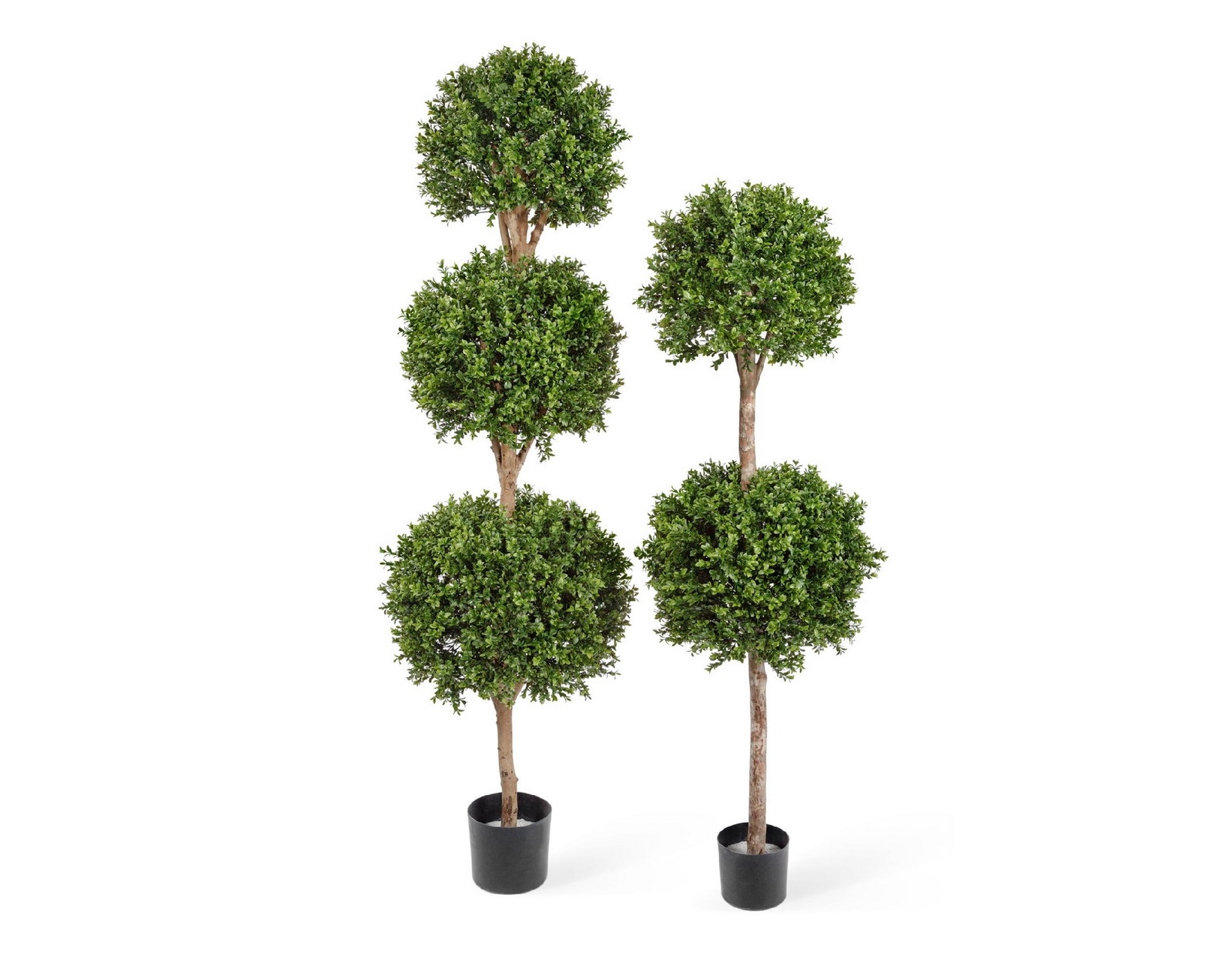 Самшит с тремя шарами  170см