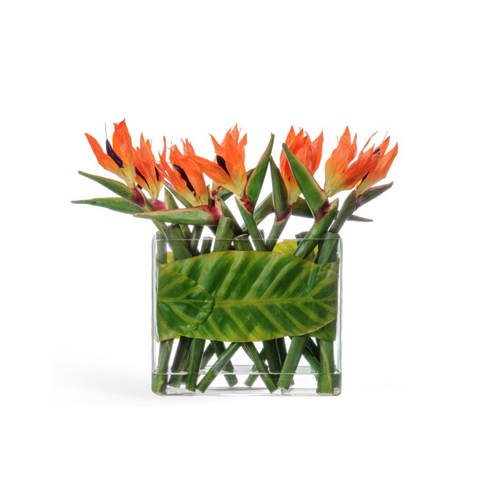 Стрелиции в Листах в стекле с водой