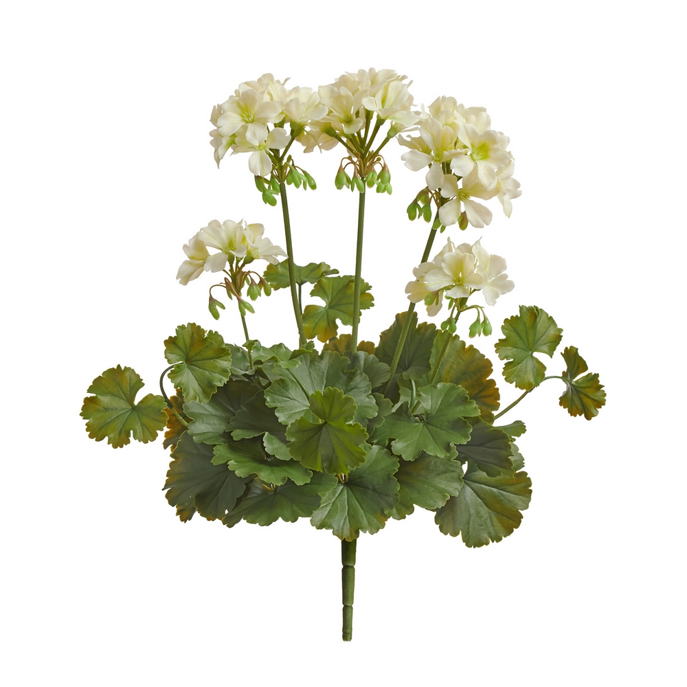 Герань кремовая цветущий куст (UV-фильтр)