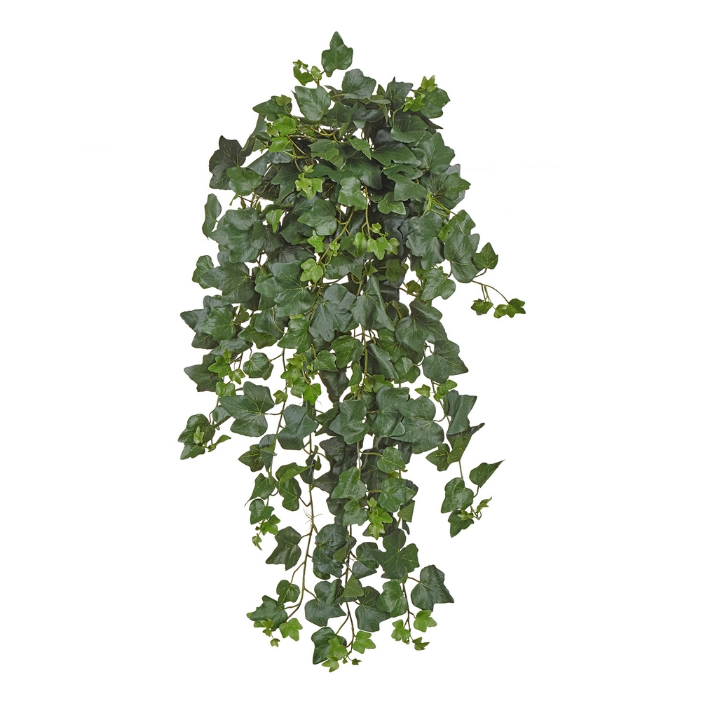 Английский плющ (серия FR - огнезащита)