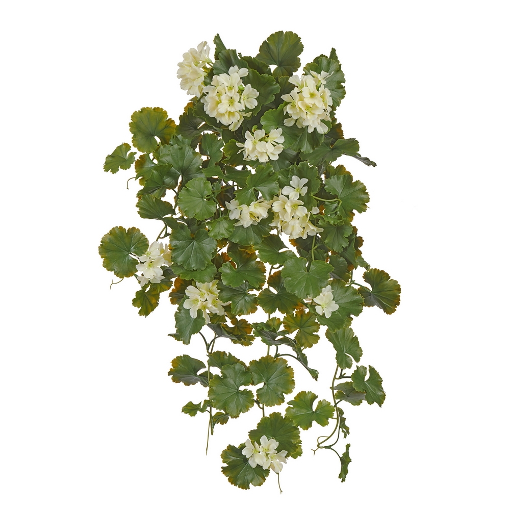 Герань кремовая ампельная (UV-фильтр)