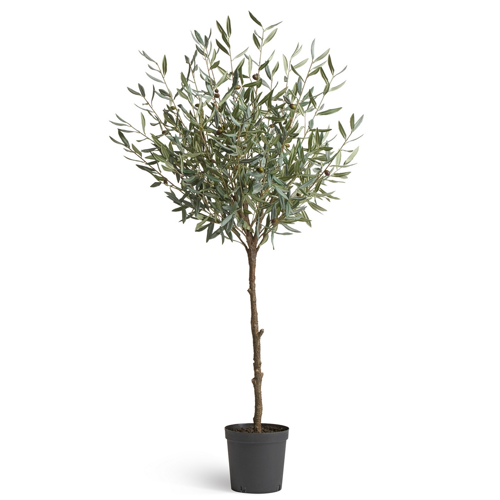 Олива Топиари Шар (серия Prime) 145 см