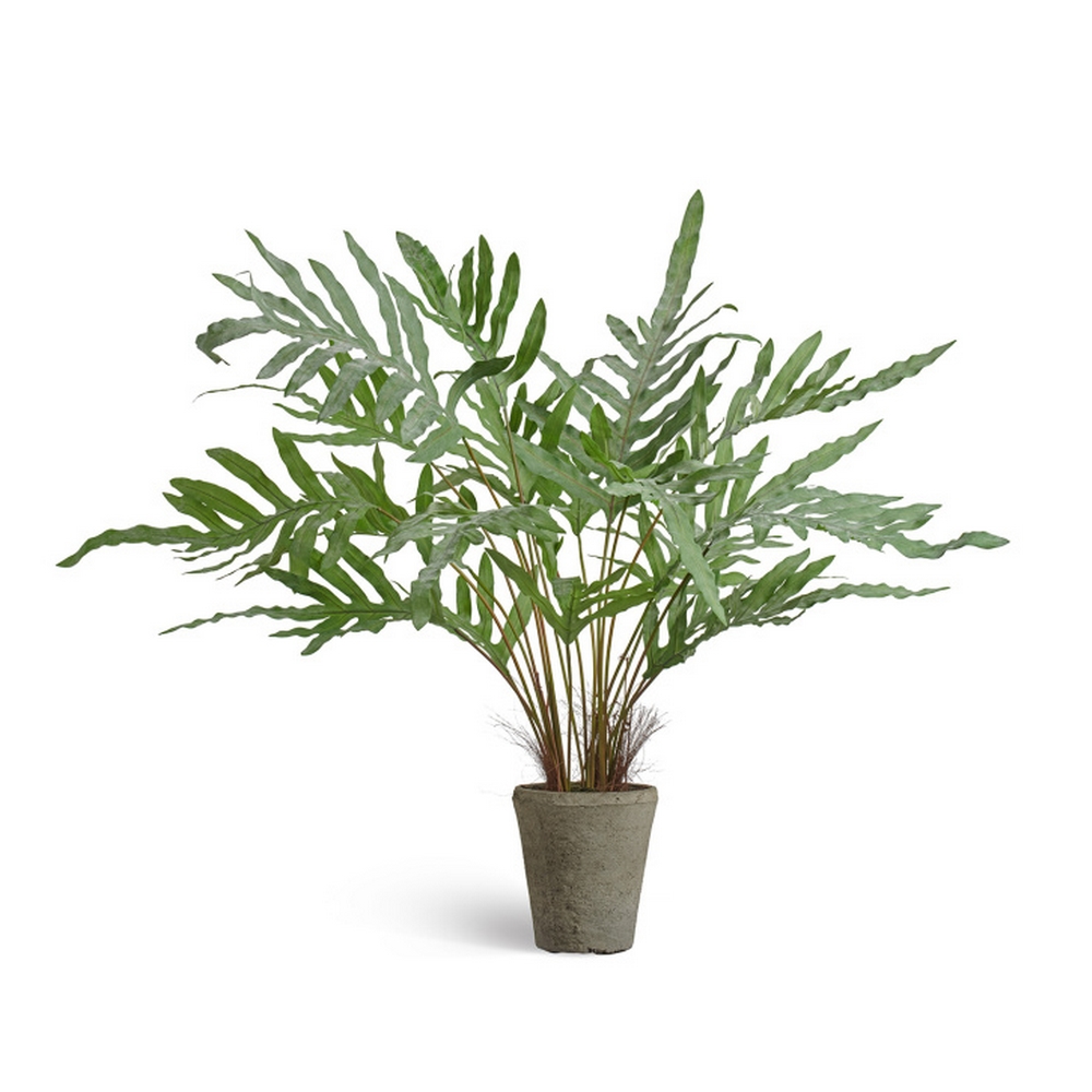 Папоротник Рэббит Фут в керамическом кашпо 100 см