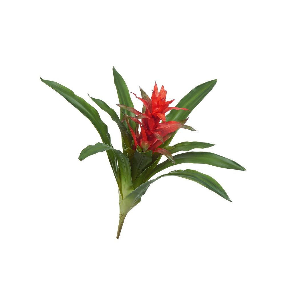 Гусмания с красным цветком 55 см