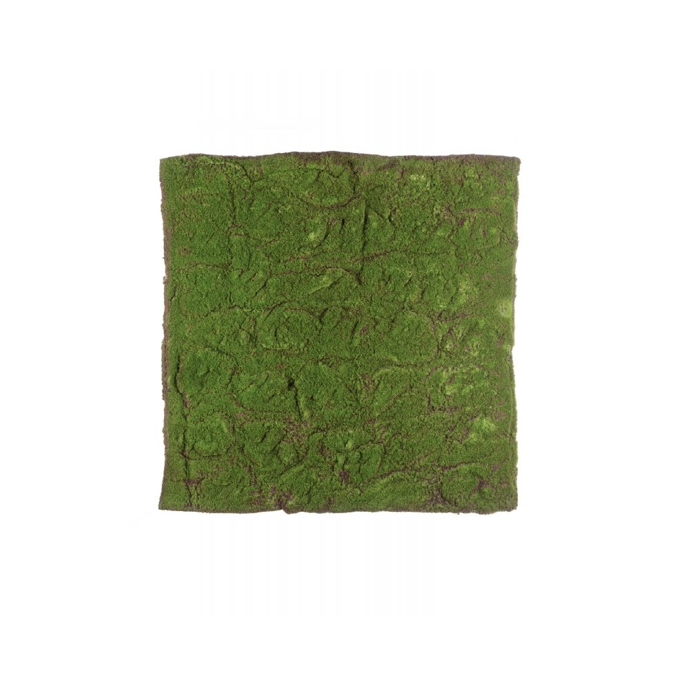 Мох полотно 100*100 см