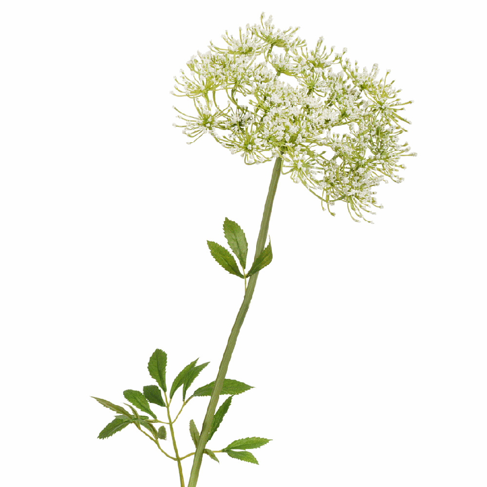 Анна королевская белая 62 см