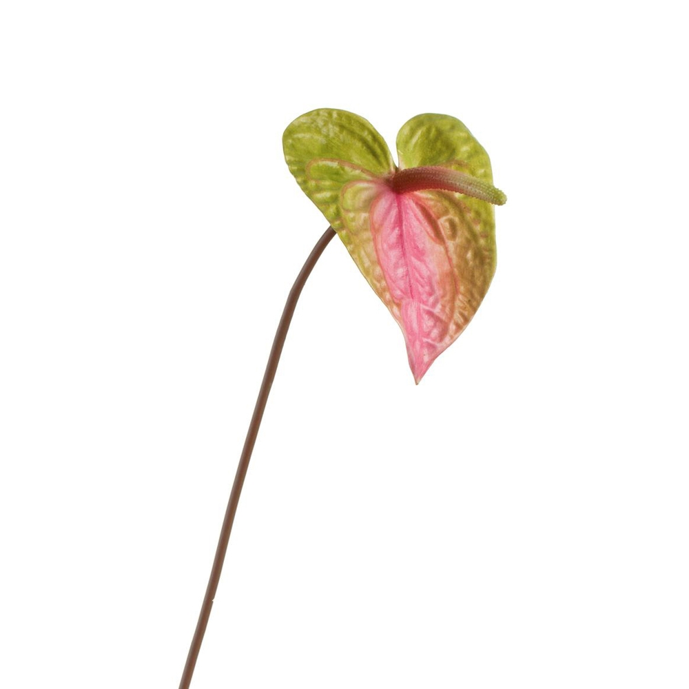 Антуриум зелёно-розовый 53 см