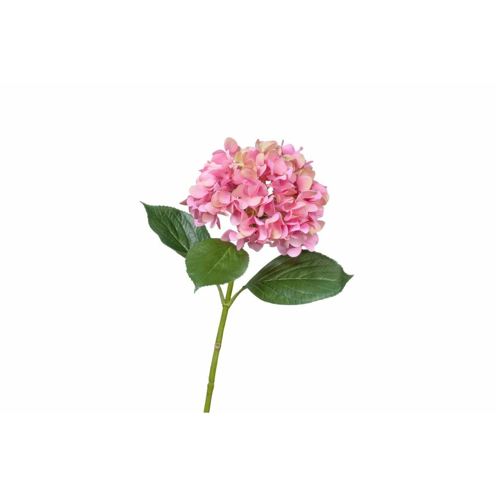 Гортензия "Grande Fiore" ярко-розовая