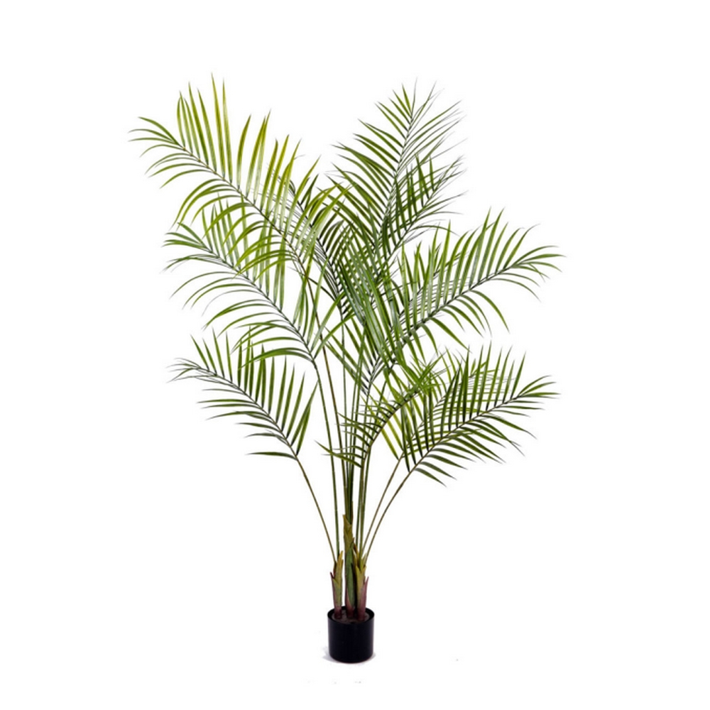 Пальма Арека Новая пластик