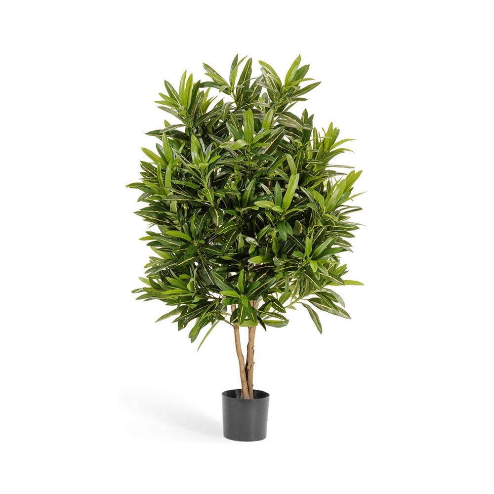 Кротон Голдфингер