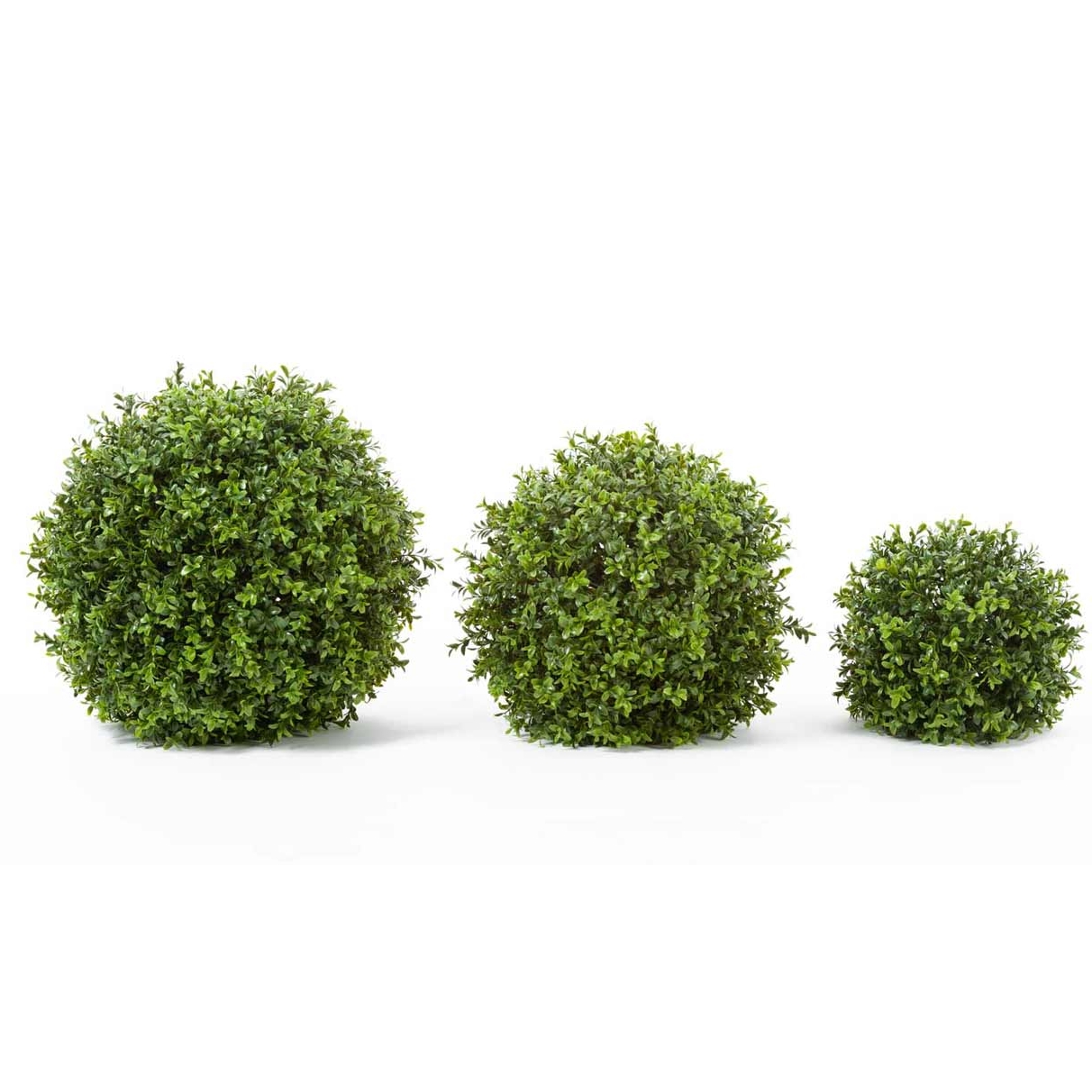 Самшитовый шар - 20