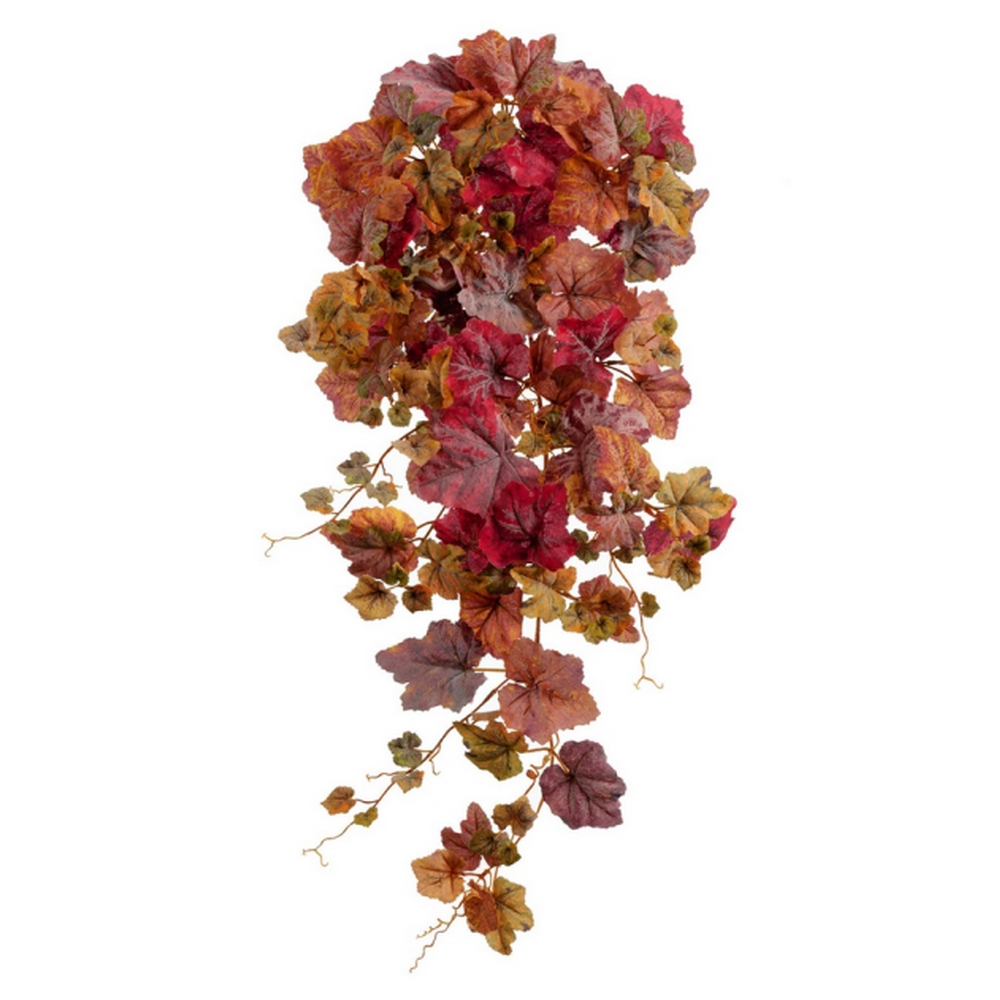 Виноградный куст Velvety желто-красный микс