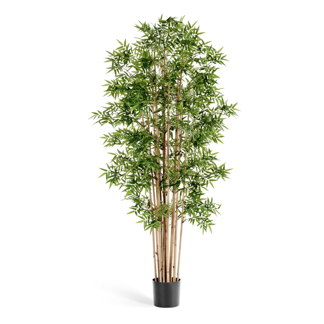 Бамбук Новый японский - 230