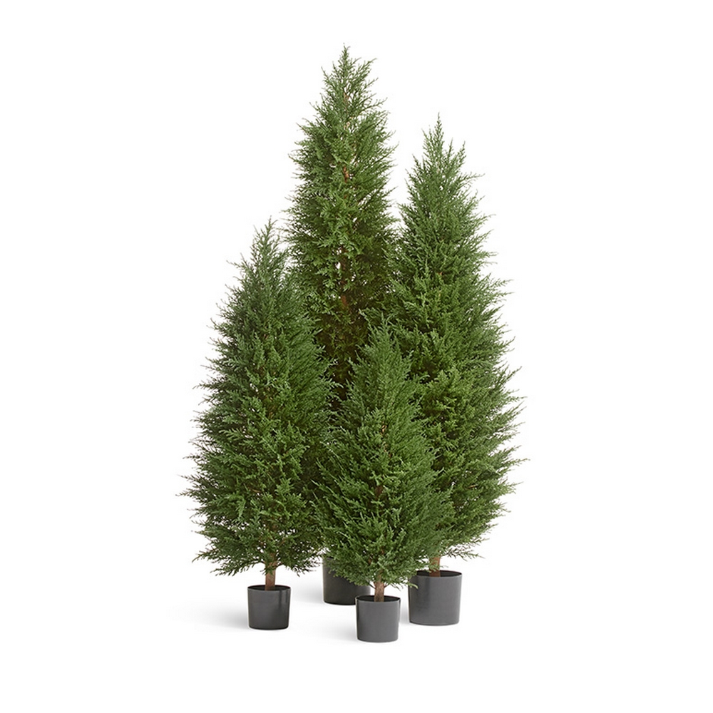 Кипарис Тауэр Элегант уличный - 90