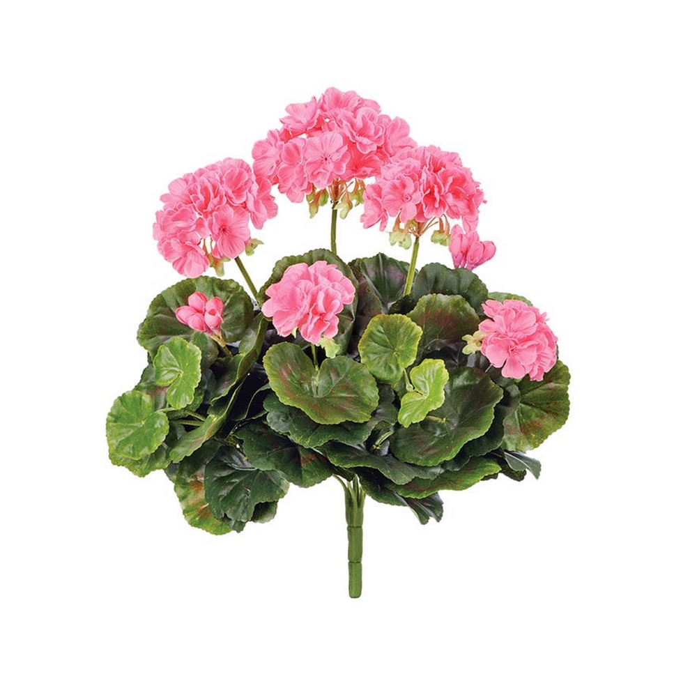 Герань 30 см