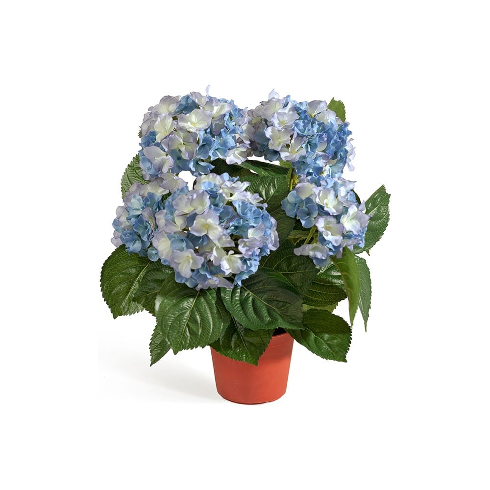 Гортензия 35 см