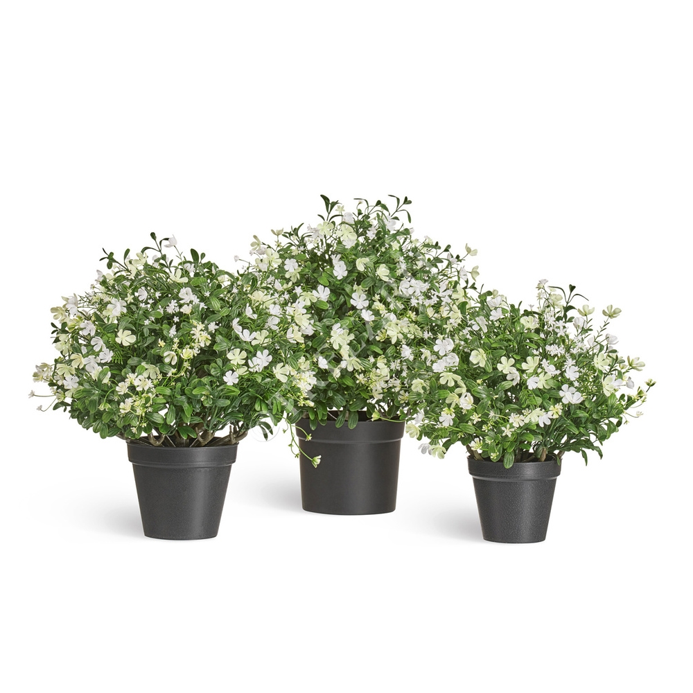 Альпийское разнотравье