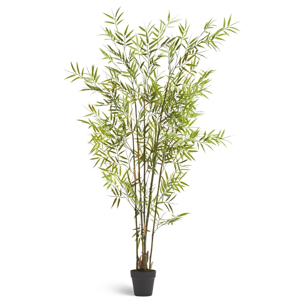 Бамбук японский Style (с UV-фильтром)